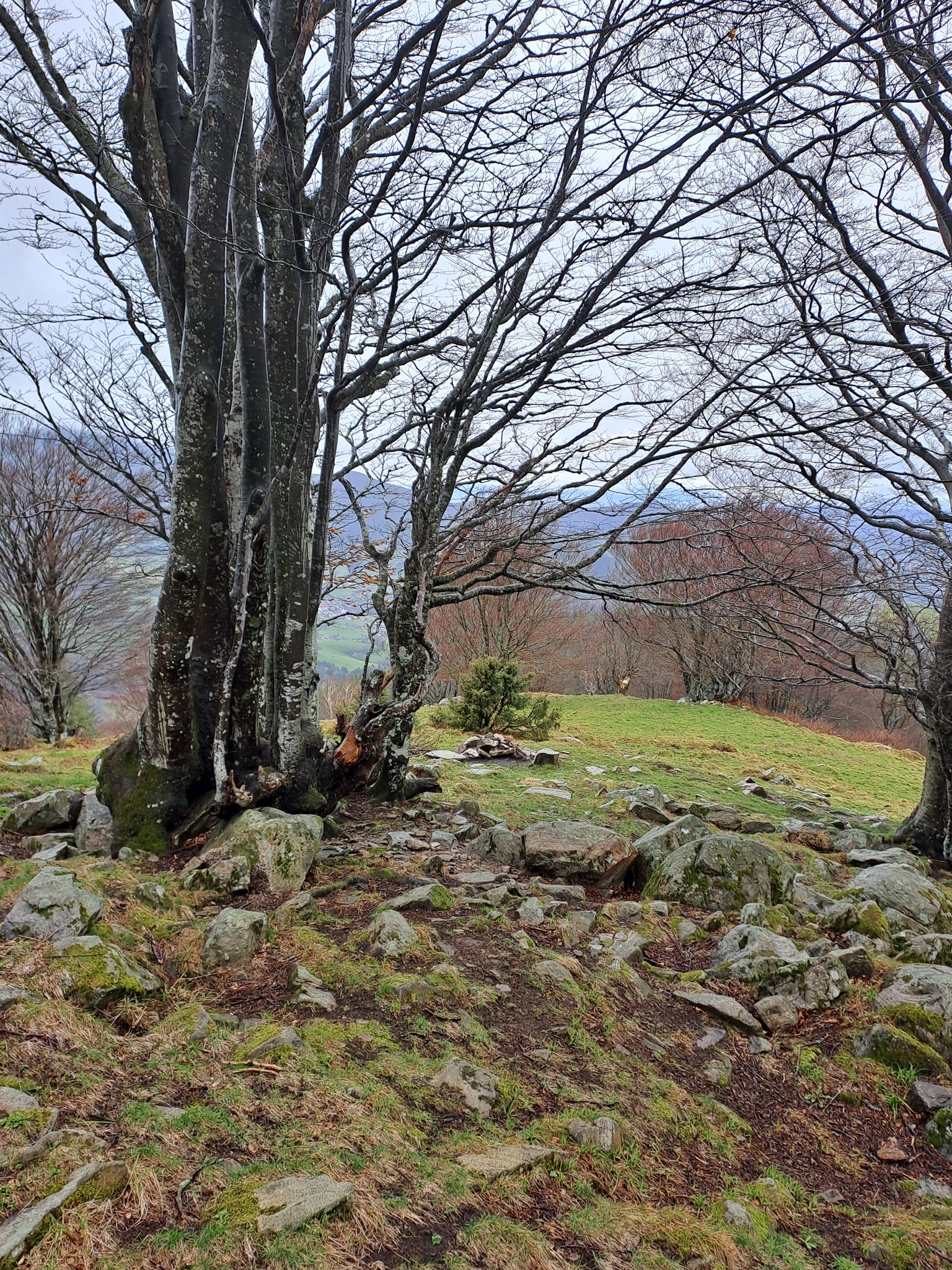 20230401150505 150505